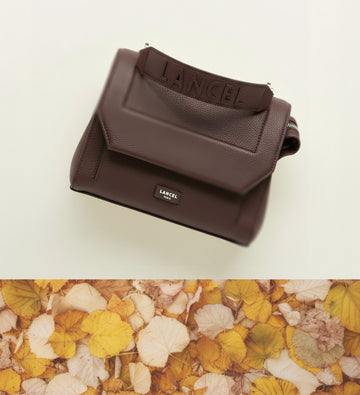 AUTUMN DAYS